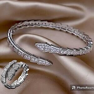 Silver Zircon Snake Bangle Bracelet Ring Set, Luxury